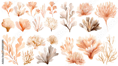 Watercolor seaweed and marine foliage set in soft peach and taupe. Hand painted ocean plants isolated on white for coastal branding, patterns, and elegant decor.