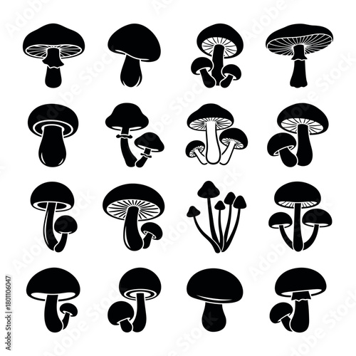 Collection of various mushroom illustrations isolated on