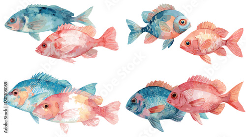 Watercolor reef fish set in blue and coral hues, hand painted with textured scales and fins, isolated on white for coastal decor, patterns, invitations, and kids projects.