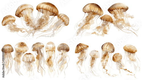 Watercolor jellyfish collection in warm sepia tones with flowing tentacles, hand painted marine clipart isolated on white for ocean decor, posters, patterns, and invitations.