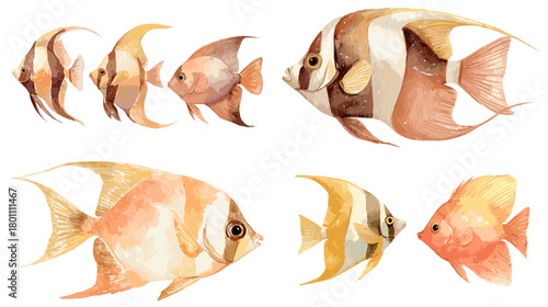 Watercolor tropical fish set in warm peach and gold tones. Angelfish and butterflyfish painted in soft detail, isolated on white for coastal art, invitations, patterns, and decor.