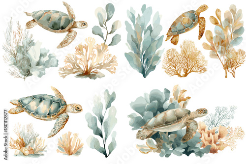 Watercolor sea turtles with coral and marine plants in soft teal and sand tones, isolated on white for coastal design, nursery decor, invitations, and nature prints.