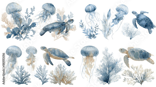 Watercolor sea turtles and jellyfish with coral and sea plants in soft blue tones, isolated on white for ocean themes, nursery art, invitations, and coastal decor.