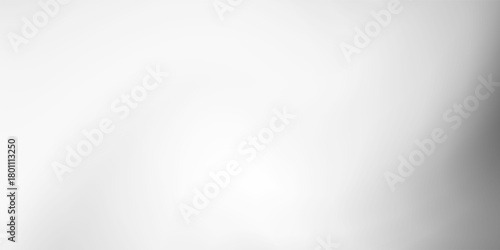 Premium Blank Blurred Texture Illustration shadow Black and white Modern Design. Silver Gray Line Gradient Mesh.