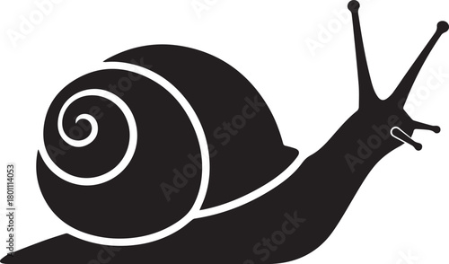 Black Silhouette Snail with Spiral Shell on White Background
