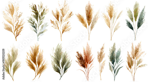 Watercolor botanical leaves and pampas sprigs in earthy neutral tones. Elegant dried foliage clipart for rustic wedding design, invitations, patterns, and cozy home decor.