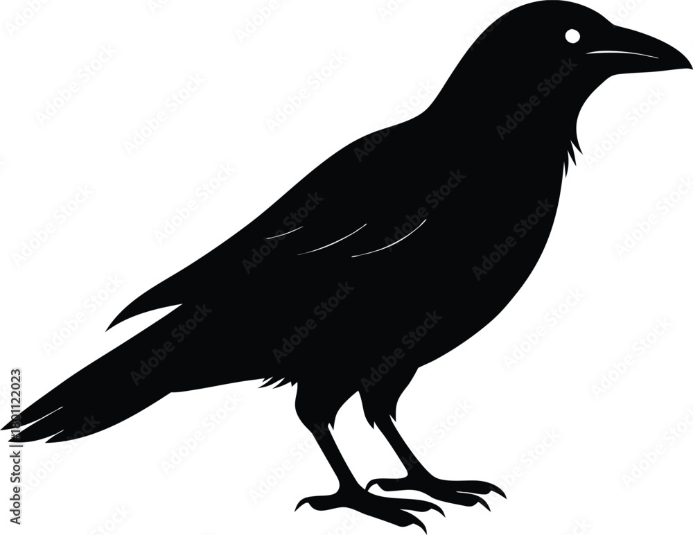 Fototapeta premium Raven Silhouette – Black Crow Bird Vector Illustration