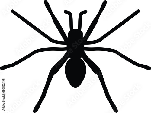 Water Strider Silhouette – Insect Icon Vector Illustration