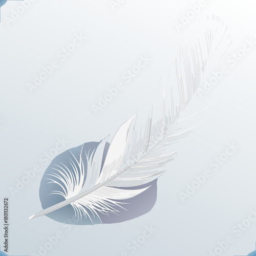 Delicate White Feather Floating Gently in the Air Symbolizing Lightness and Freedom.