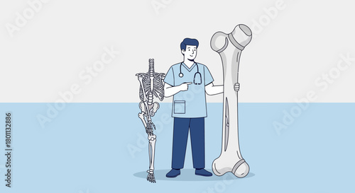 Medical Professional Examining Human Bone Structure and Skeletal Anatomy Illustration