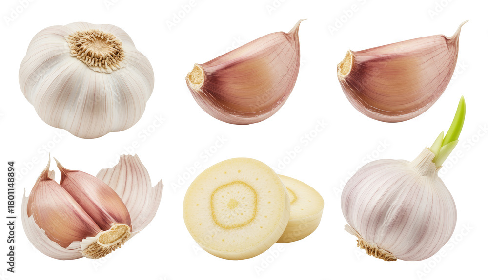 Fototapeta premium Fresh garlic bulbs, cloves, and sliced rounds arranged on transparent background