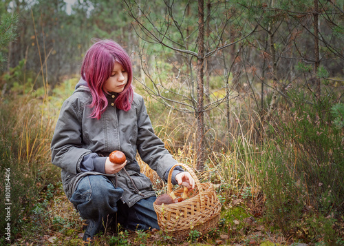Young girl mushroom picking in autumn forest