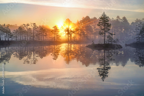gorgeous sunrise by the lake
