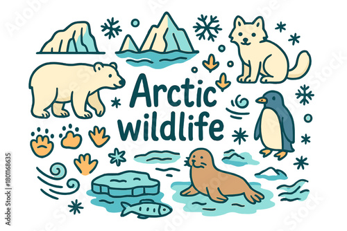 Arctic Wildlife Doodle. Arctic wildlife. Hand-drawn doodle illustration of Arctic wildlife. polar bear tracks,