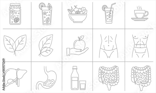 Essential Line Icons for Healthy Living Nutrition, Digestion, and Wellness Graphics for a Balanced Lifestyle and Optimal Health Journey