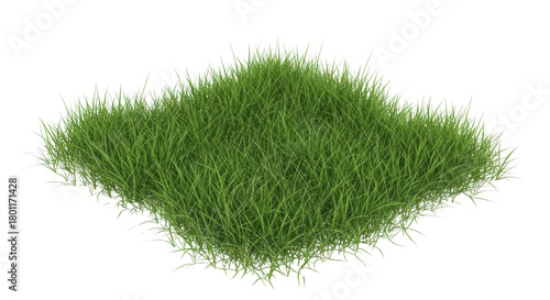 Isolated square patch of fresh green grass for architectural visualization and design projects isolated PNG with Transparent Background