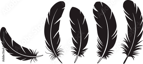 Five dark feathers illustration black white