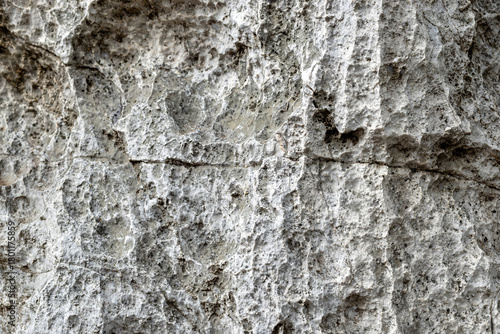 texture of gray stone surface with rough natural patterns and depth. Ideal for use as a background or design texture, close-up