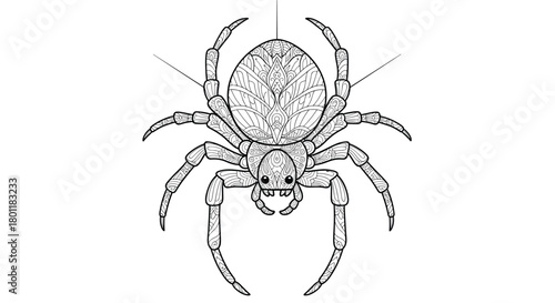 Understanding the Anatomy and Behavior of Arachnids Exploring their Unique Adaptations and Ecological Roles in Diverse Habitats Worldwide