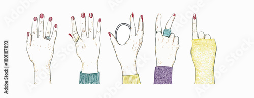 Vecteur de mains féminines stylisées avec des bagues et des ongles vernis, formant des gestes divers.