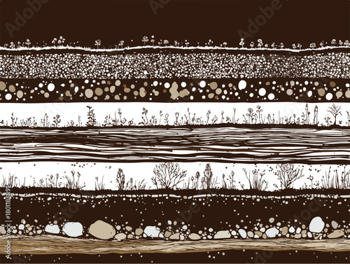 Vecteur illustrant les couches de sol, la flore et la géologie du sous-sol avec des détails naturels.