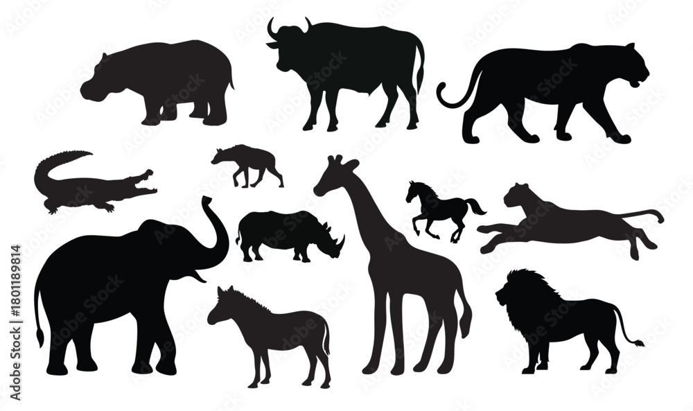 Obraz premium elephant wild animal icon set sign symbol logo editable
