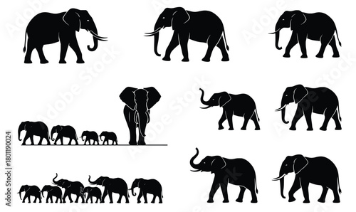 elephants in silhouette vector illustration.