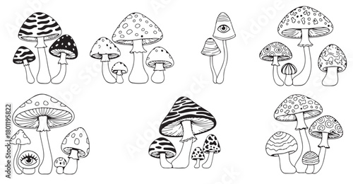 hand drawn black and white mushroom illustrations with 