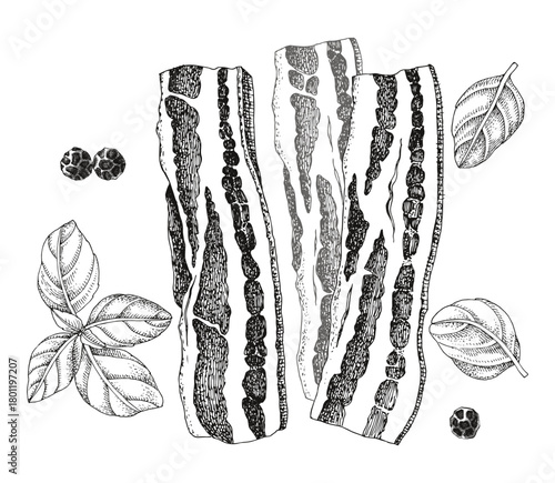 Sliced pork bacon sketched illustration