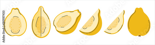 Hand drawn set of yellow guava. Whole guava fruit, half, quarter, piece. Cutted tropical fruits