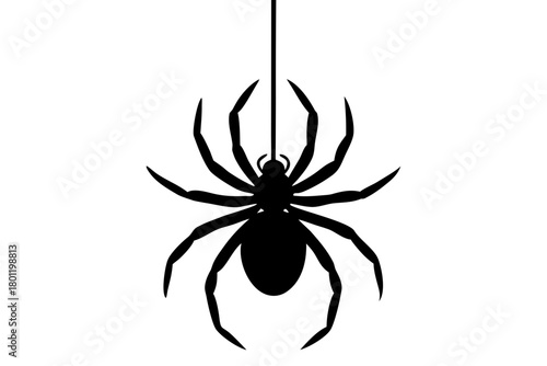 spider silhouette vector, spider black symbol