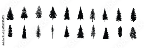 high detailed pine trees silhouette vector