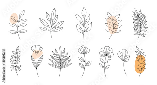 Collection of elegant line-art botanical elements including leaves and flowers with abstract pastel shapes for modern designs.