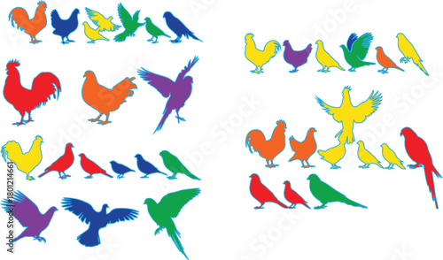 Colorful birds and roosters chickens parrots