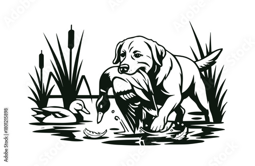 Labrador Retriever Duck Hunt Vector Art - Black and White Hunting Dog with Mallard