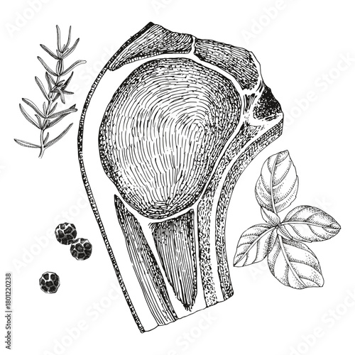 Slice of raw pork loin chop