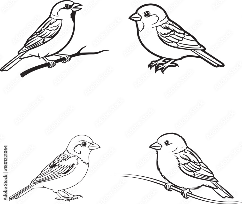 Obraz premium Bird Silhouette Set with Perched and Standing Poses in Detailed Feather Styles