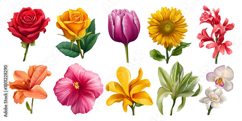 Collection of ten vibrant and colorful blooming flowers isolated on a white background