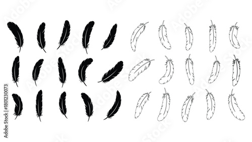 Set of feather silhouettes isolated on white background for design
