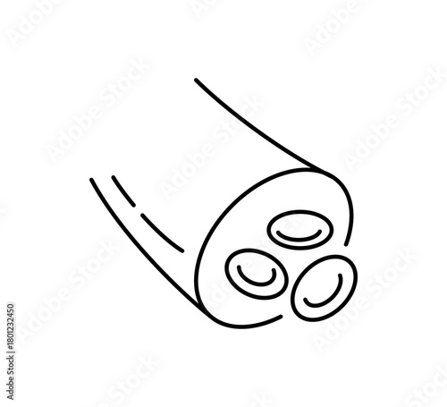 Blood vessel line icon. Human artery and vein symbol. Blood hemoglobin sign. Healthy heart system control. Healthy vessel icon. Vector illustration isolated on white background.