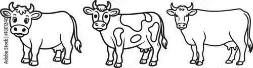 Set of Cow Line Art Illustration, Coloring Book Page Line Art Drawing