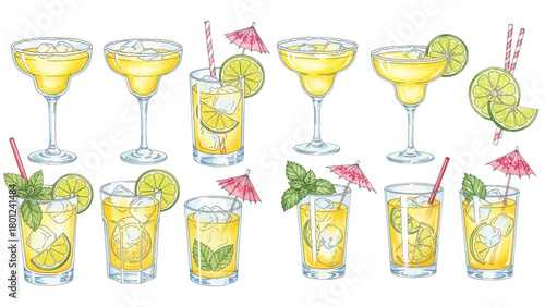 A collection of watercolor margarita cocktails in various glasses with lime, mint, and salt garnishes.