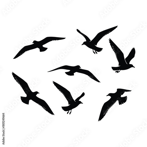 Black bird silhouettes soaring in flight freedom sky