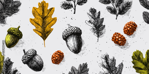 Ilustración vectorial de hojas de roble, bellotas y bayas de otoño sobre un fondo blanco, ideal para diseño.