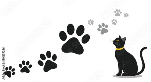 A curious black cat follows a trail of paw prints leading into the distance.