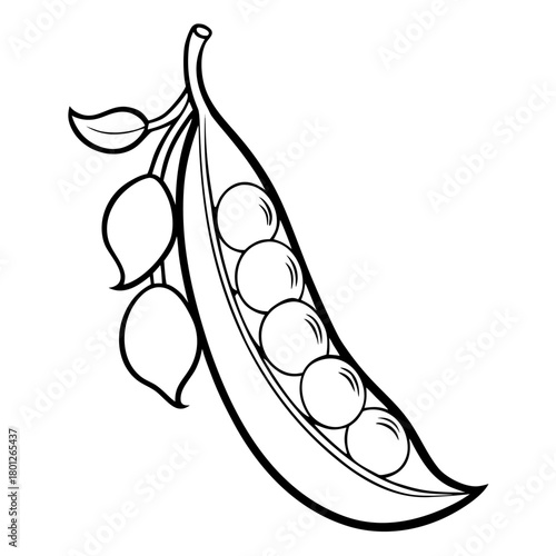 Simple line art drawing of a pea pod with peas and leaves