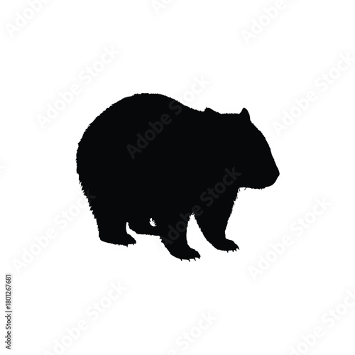 Solid black wombat silhouette vector illustration
