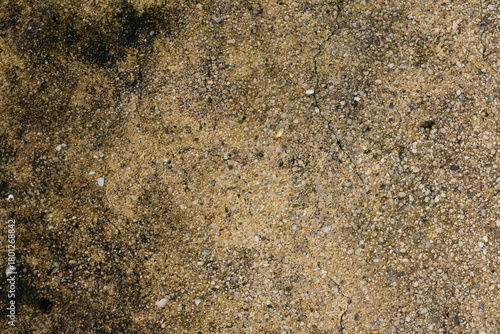 Concrete Texture with Moss and Stains