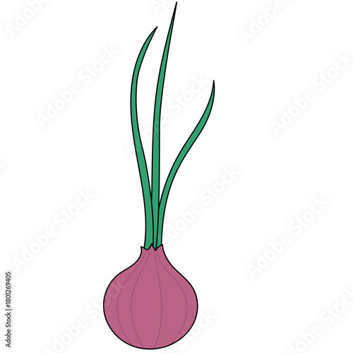 onion icon