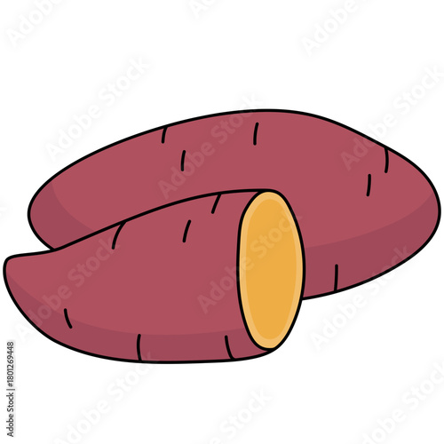 vector illustration of sweet potato